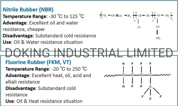 Nok NBR Rubber O Ring Viton Seal for Industrial Equipment Mechanical Sealing